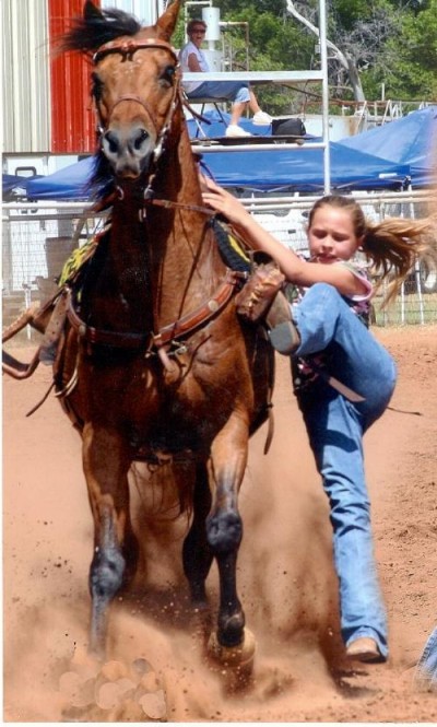 17&nbsp;year old&nbsp;Gelding