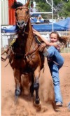 17&nbsp;year old&nbsp;Gelding