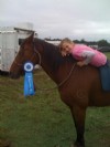 17&nbsp;year old&nbsp;Gelding