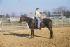 6&nbsp;year old&nbsp;Mare