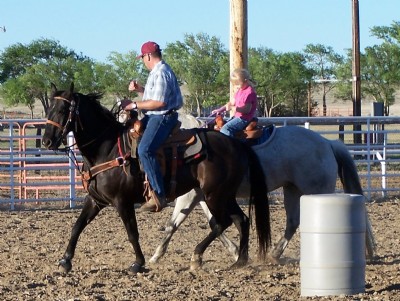 17&nbsp;year old&nbsp;Gelding